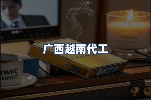 广西越南代工